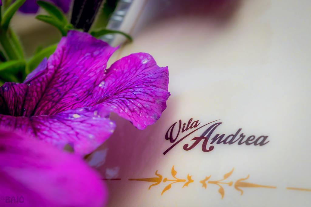 סראייבו Motel Vila Andrea מראה חיצוני תמונה